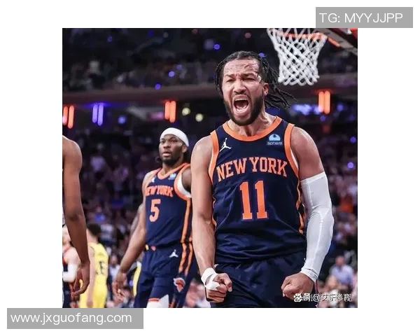 尼克斯：纽约之誉，篮球之光